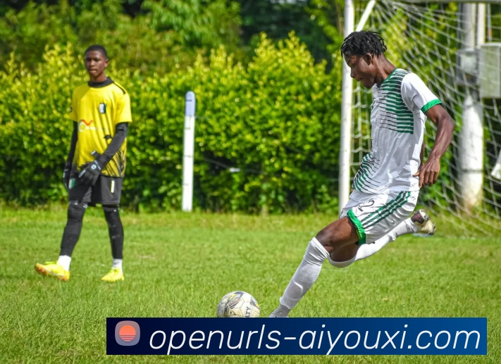 爱游戏平台生态图